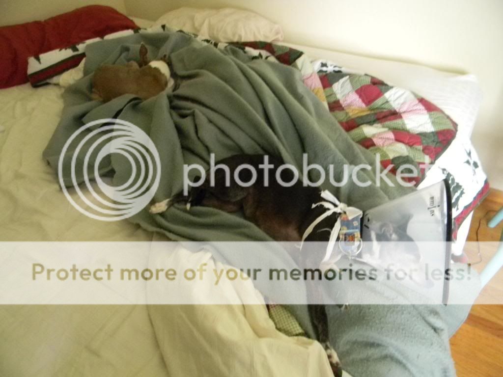 031-2.jpg