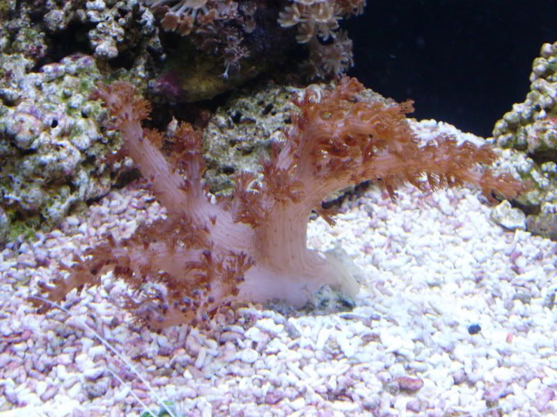 PB130235.jpg