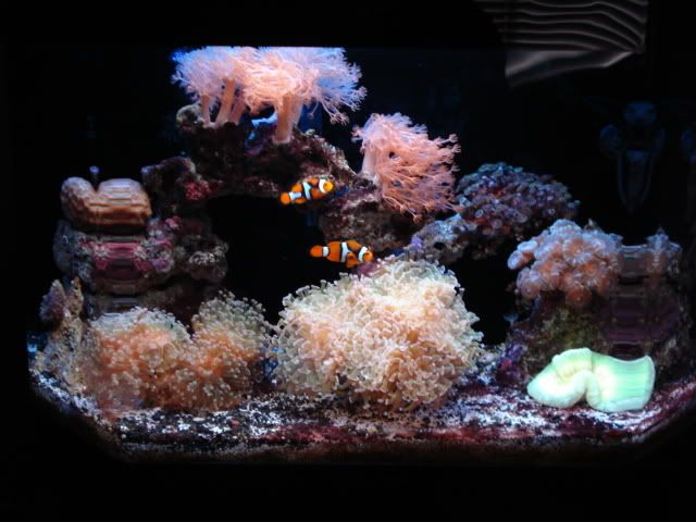 DSC00250.jpg