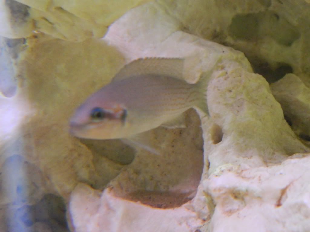 DSCN1168.jpg