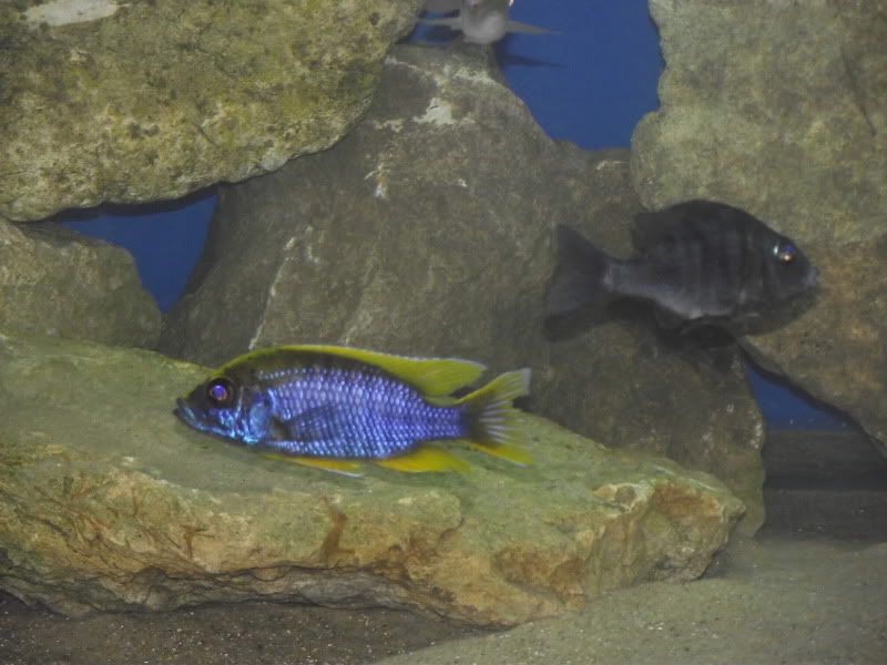 DSCF7846.jpg
