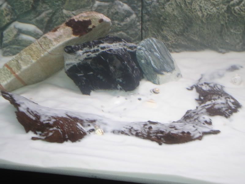 DSC01458.jpg