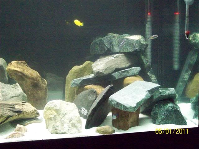 102_3641Small.jpg