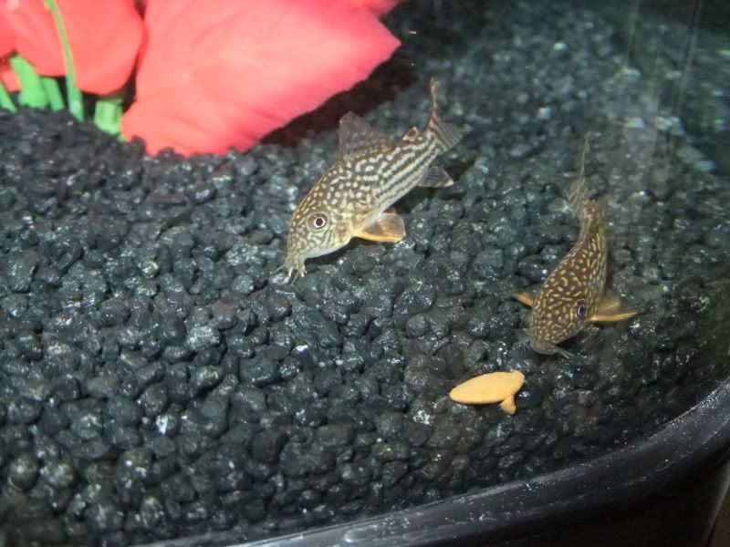 DSCF1679.jpg