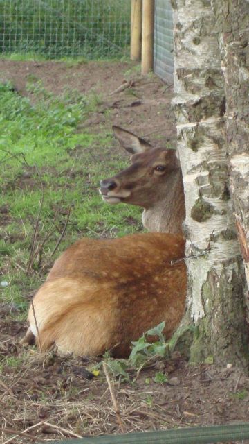 DSC01670.jpg