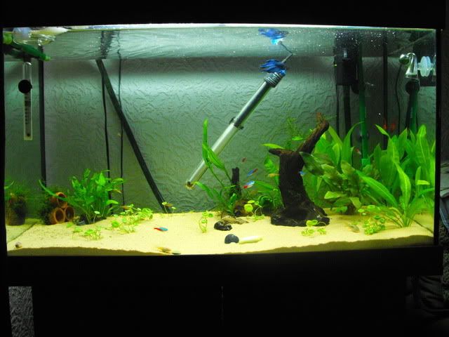 2010_0713tank0019.jpg