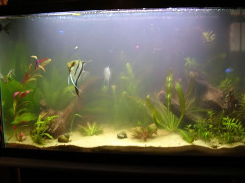 DSCN1554.jpg