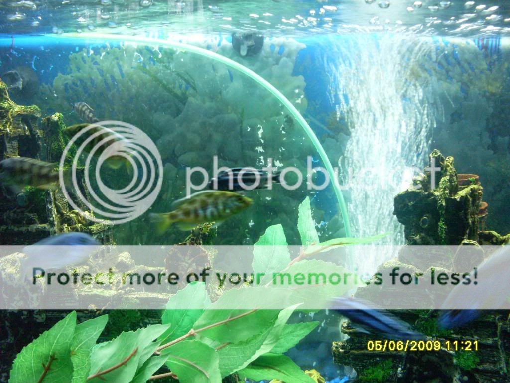 5c713b5e.jpg