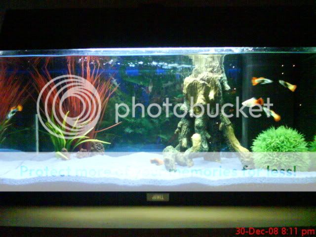 DSC00510.jpg