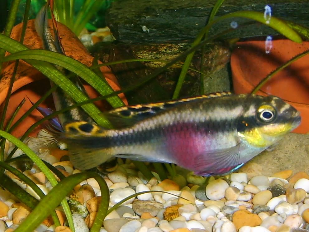 S5000099.jpg