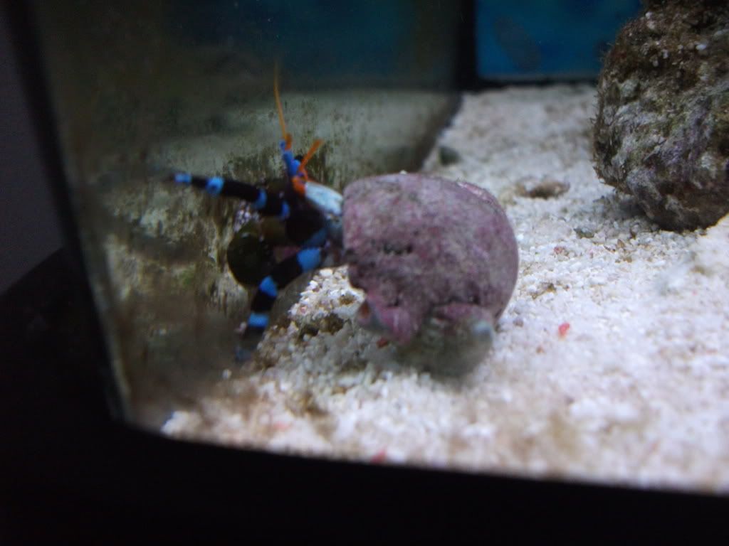 DSCF0616.jpg