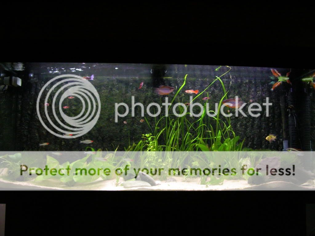 DSCN4256.jpg