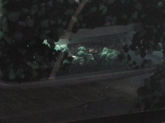 DVC00635.jpg