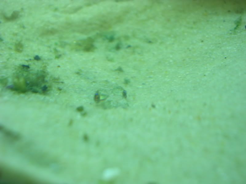 DSCN3756.jpg