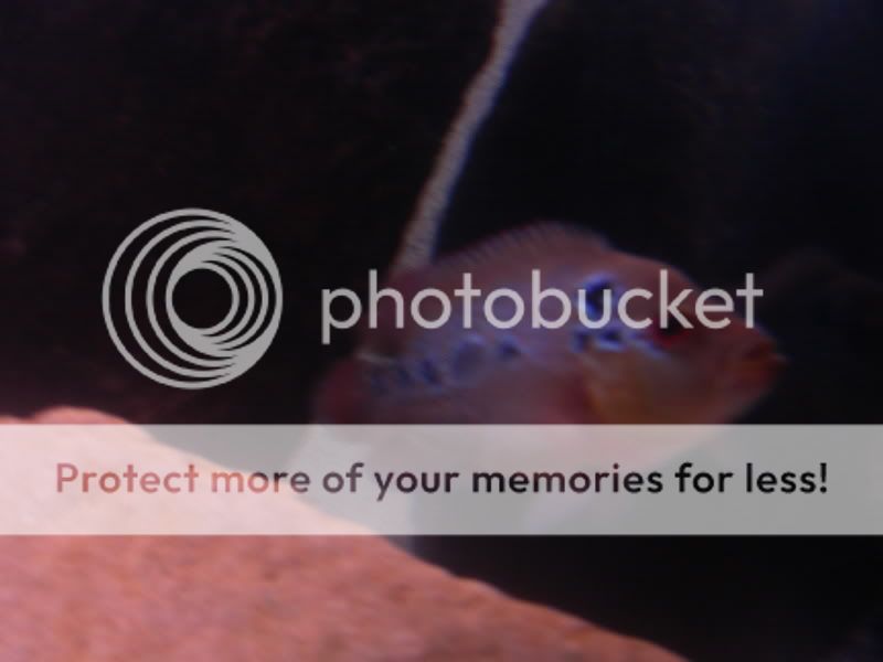 DSCN0495.jpg