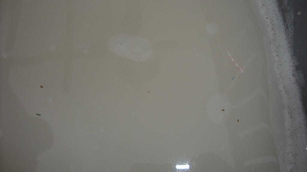 DSC03938.jpg