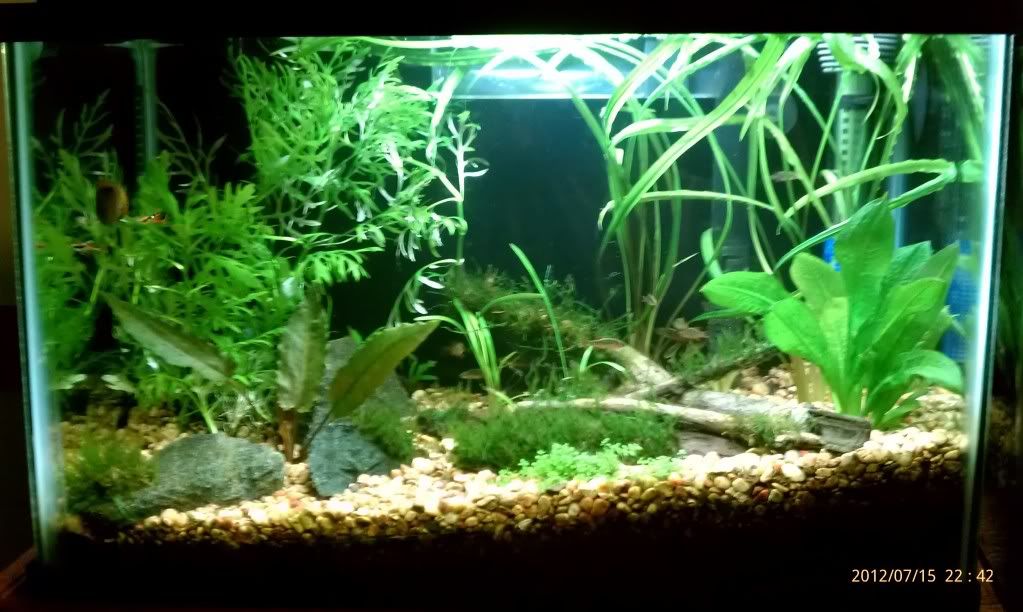 IMAG0542.jpg