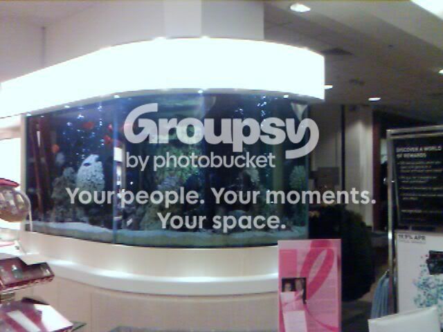 IMAGE_00001.jpg