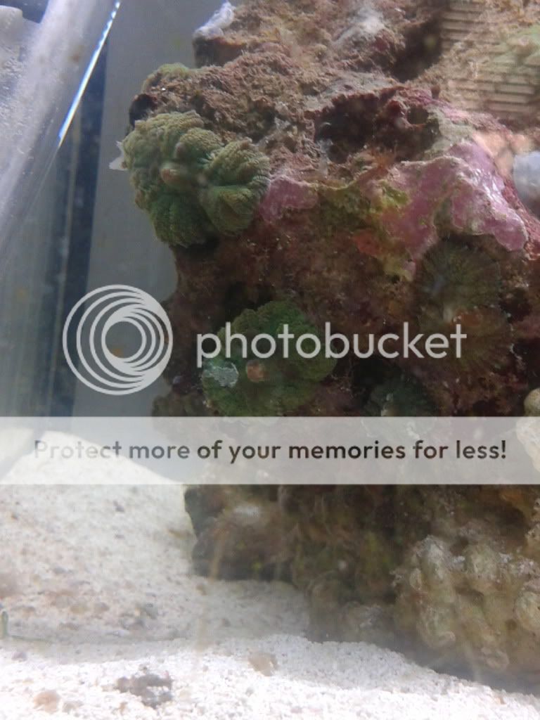 2012-07-27160130.jpg