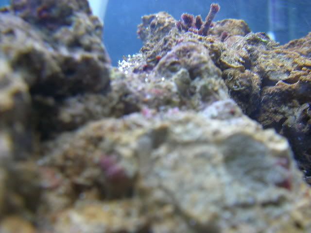 P1120199.jpg