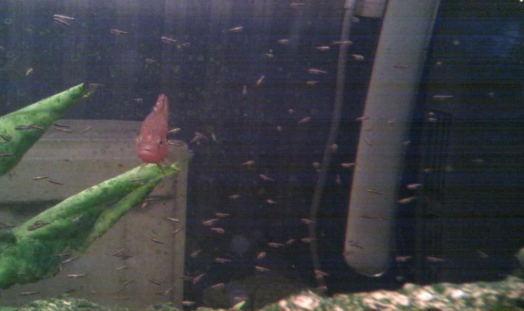IMAG0220.jpg