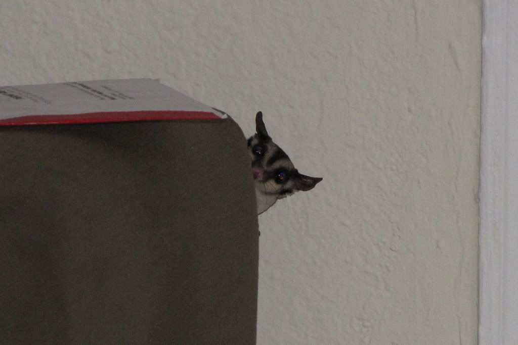 Iseeyou.jpg