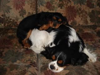 DSC01561.jpg