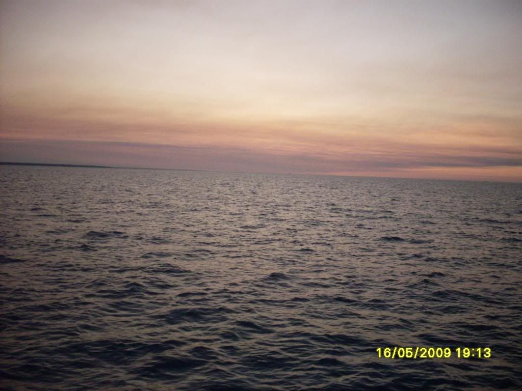 darwin028.jpg