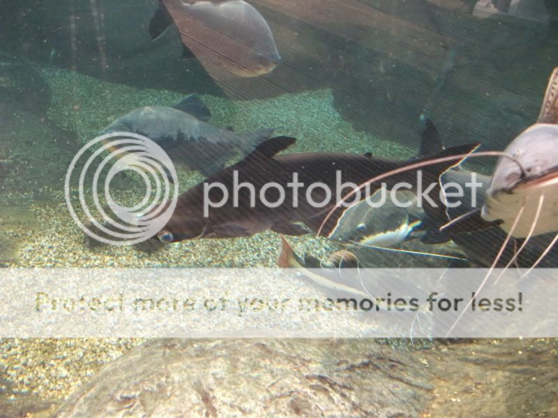 bluereef164.jpg