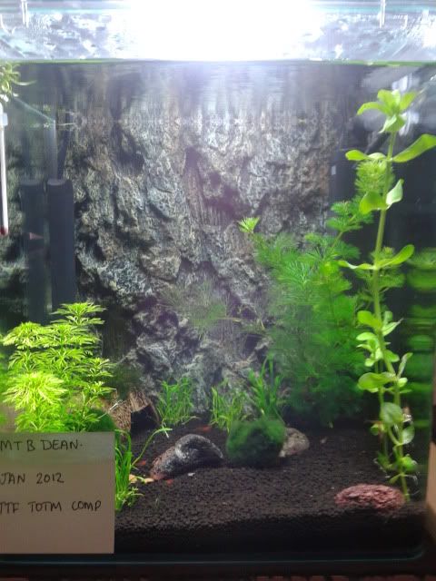 2012-01-06181707.jpg