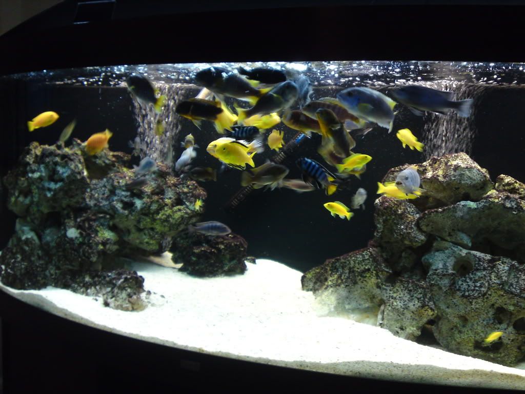 fish048.jpg