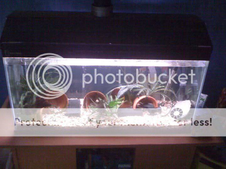 fishtank.jpg