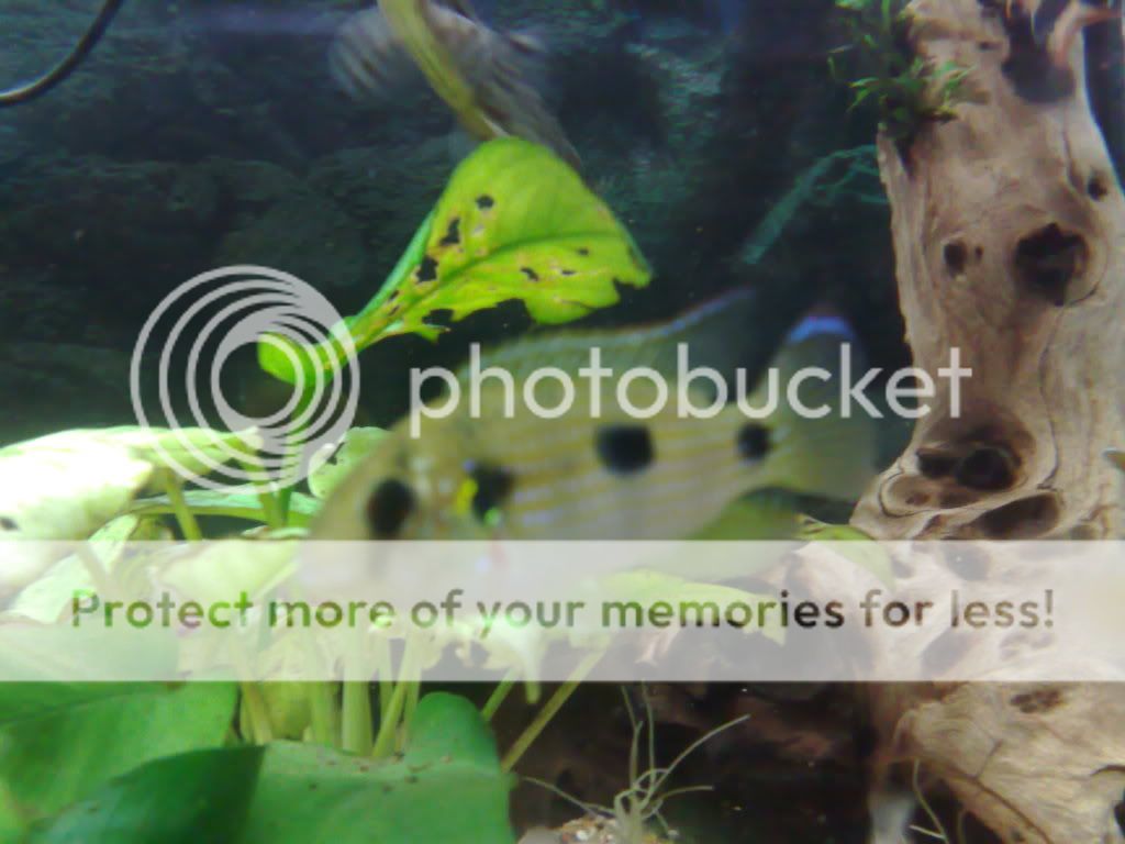 07052009231.jpg