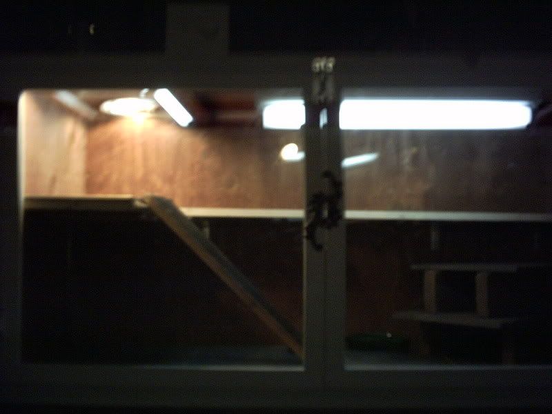 IMG00180.jpg