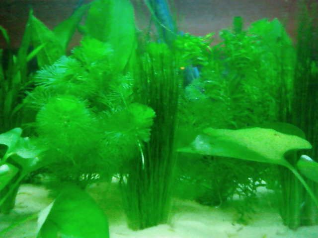 SP_A0292.jpg