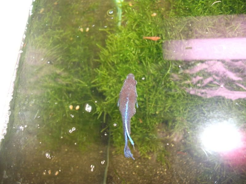 DSCF4505.jpg