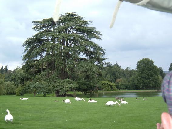 LeedsCastle048.jpg