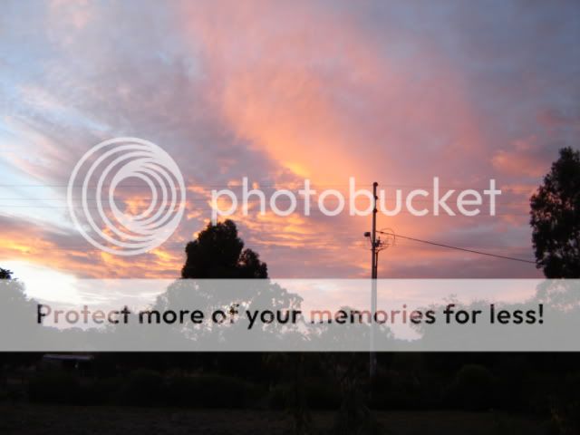 DSC01348.jpg