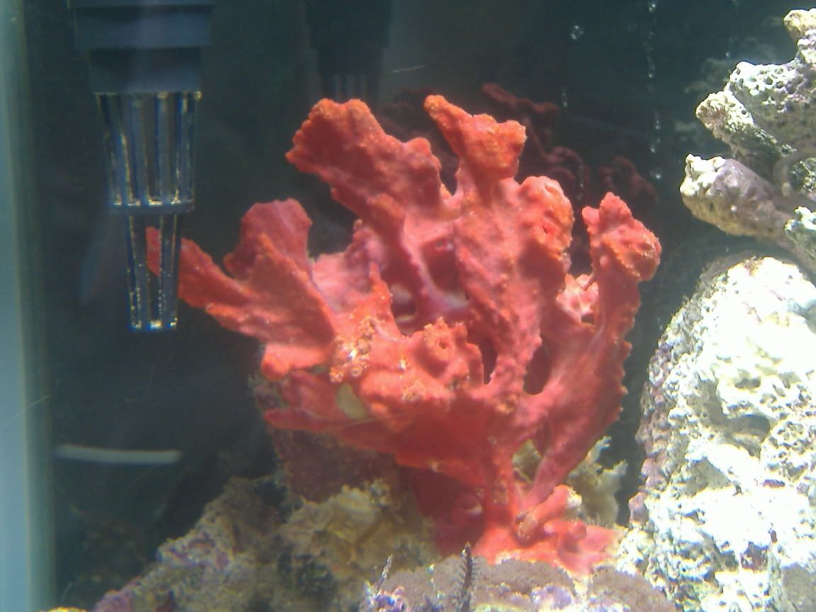 DSCF0490.jpg