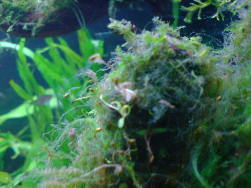 DSC01520.jpg