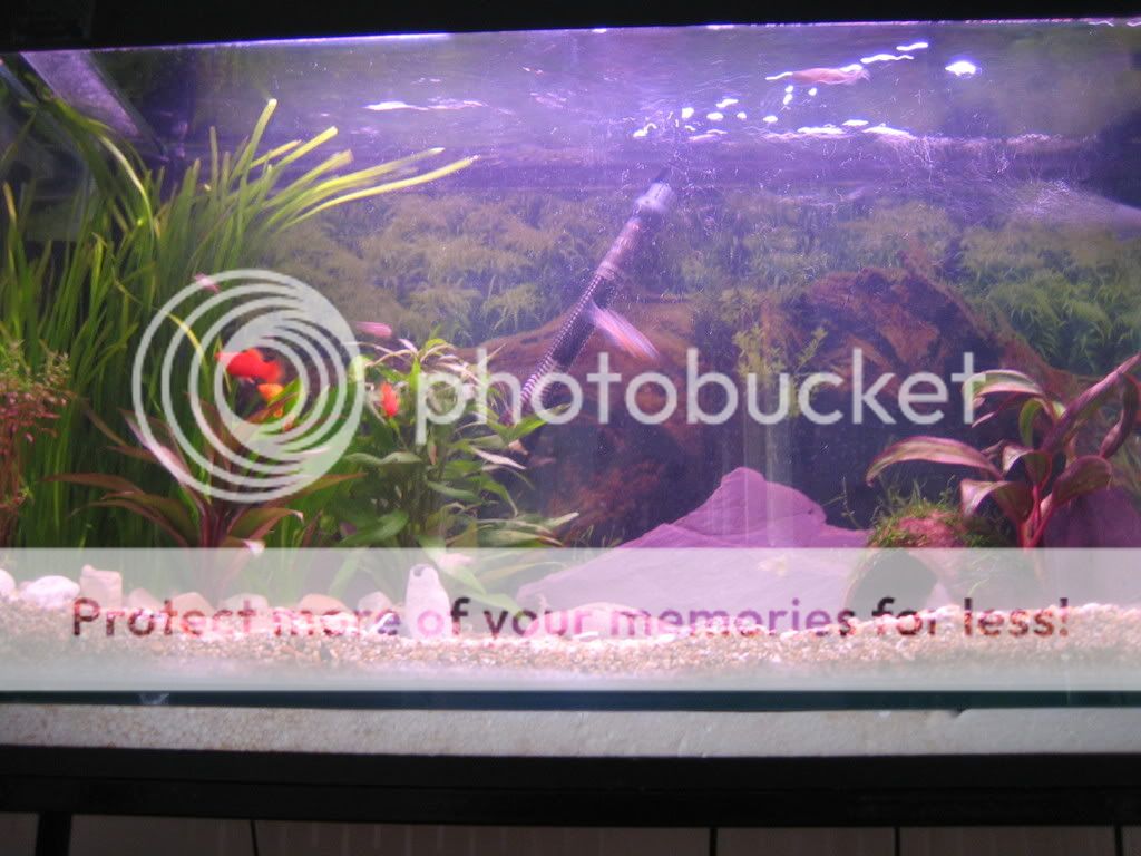 IMG_0042.jpg