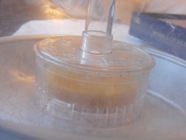 2010_0104biorbfilter0038.jpg