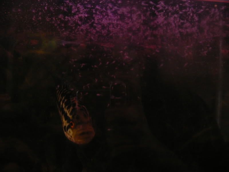 SANY0002.jpg