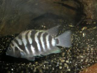DSCN1859.jpg