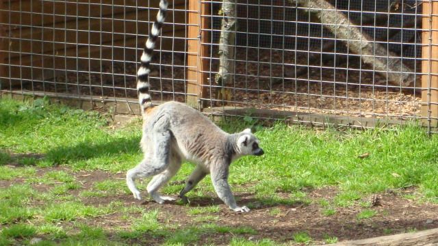 DSC01652.jpg