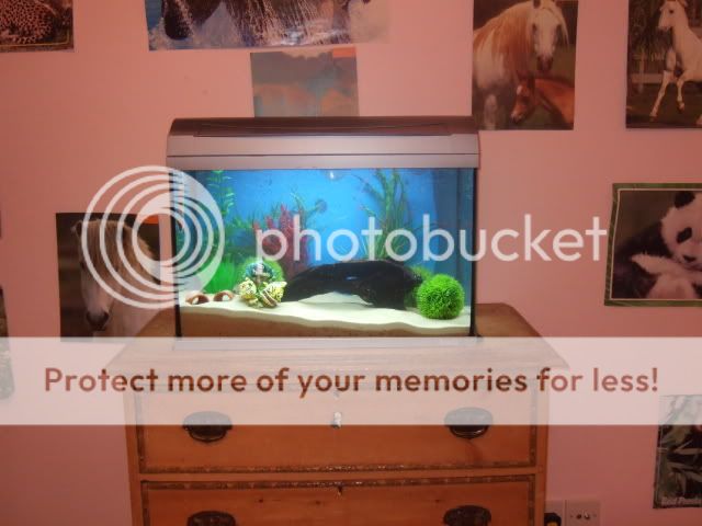 2008_10120328.jpg