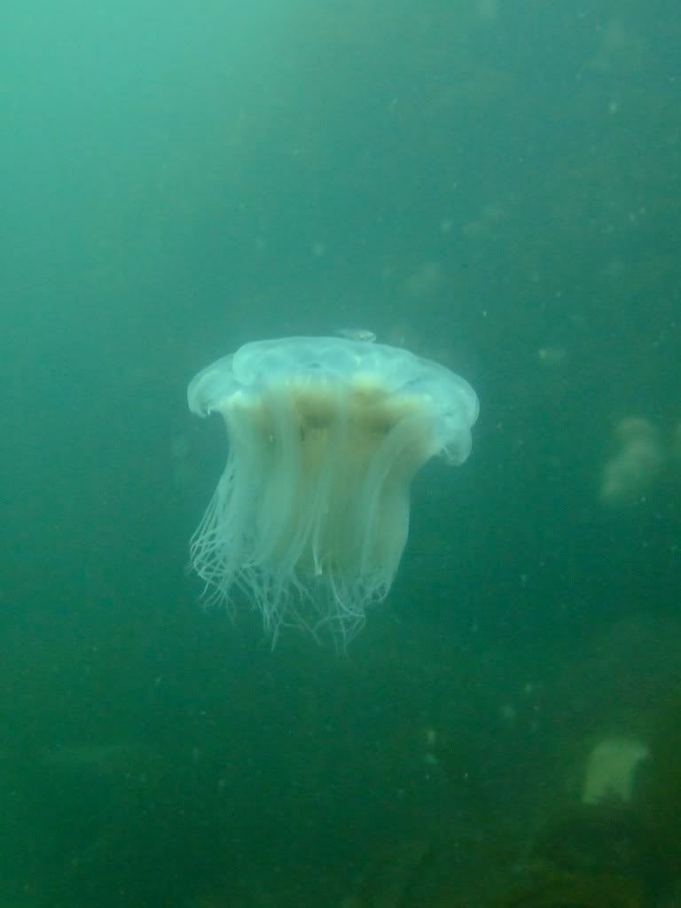 DSCF5667.jpg