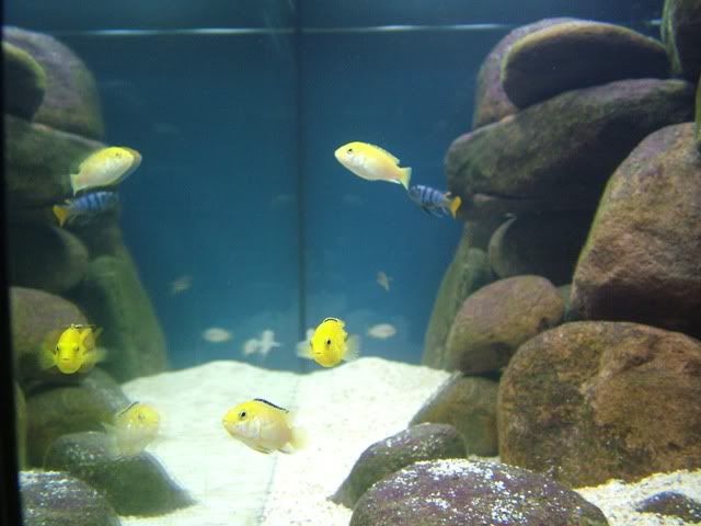 DSCF1664.jpg