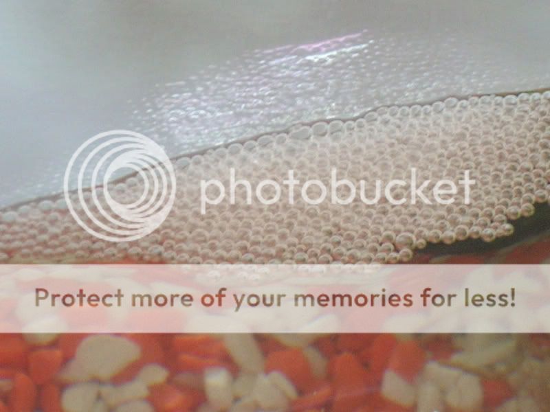 fishy008b.jpg
