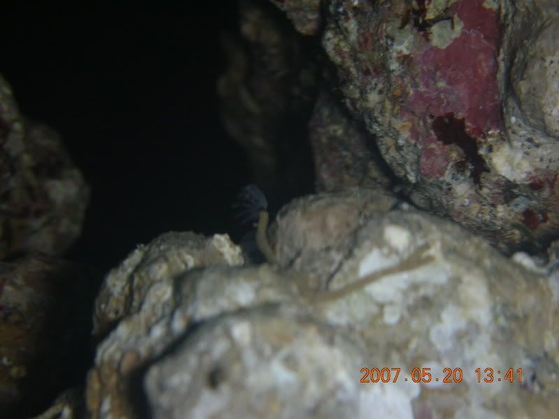 DSCN1740.jpg